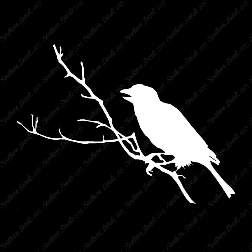 Bird Perch Branch