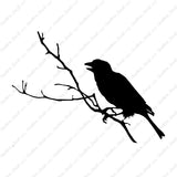 Bird Perch Branch