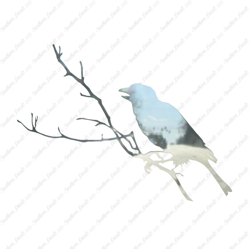 Bird Perch Branch