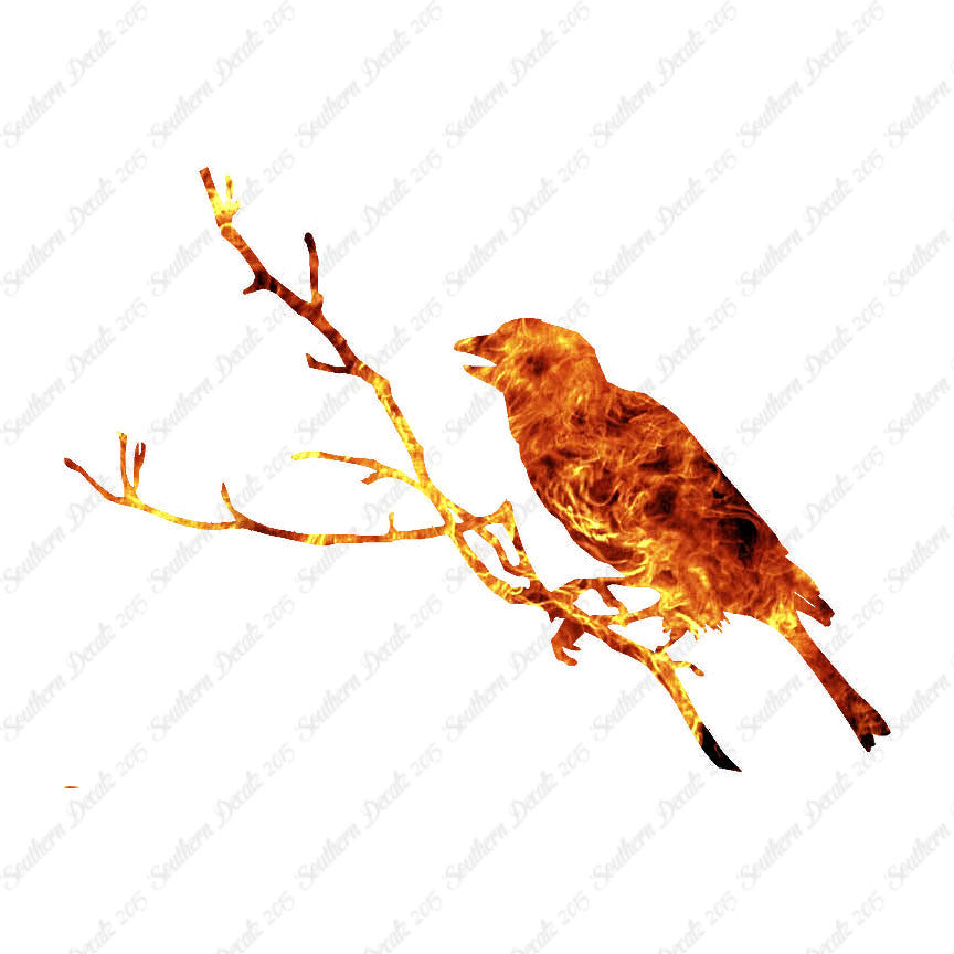 Bird Perch Branch
