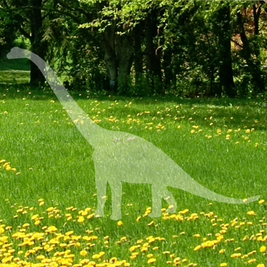 Brontosaurus Dinosaur
