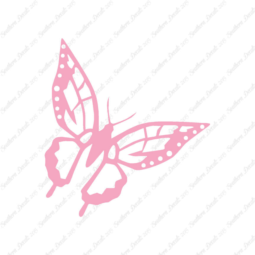 Butterfly Monarch