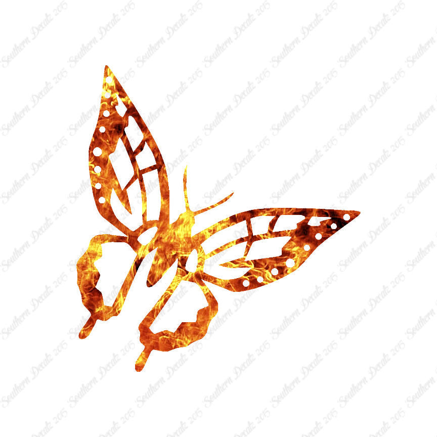 Butterfly Monarch