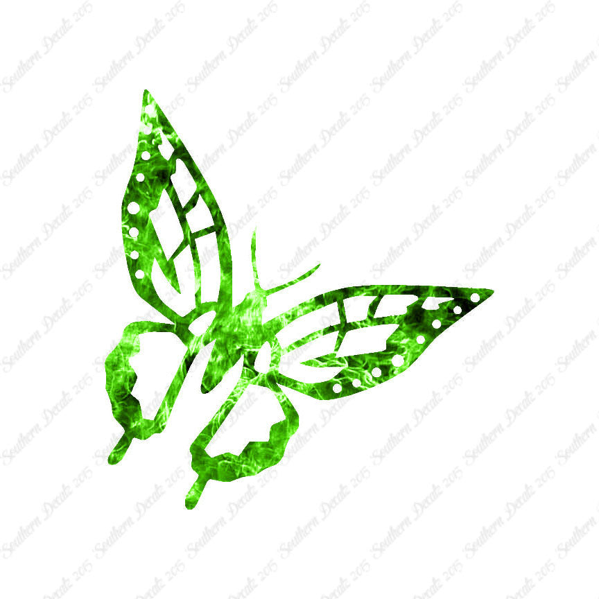 Butterfly Monarch