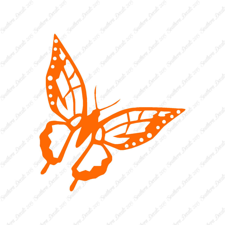 Butterfly Monarch