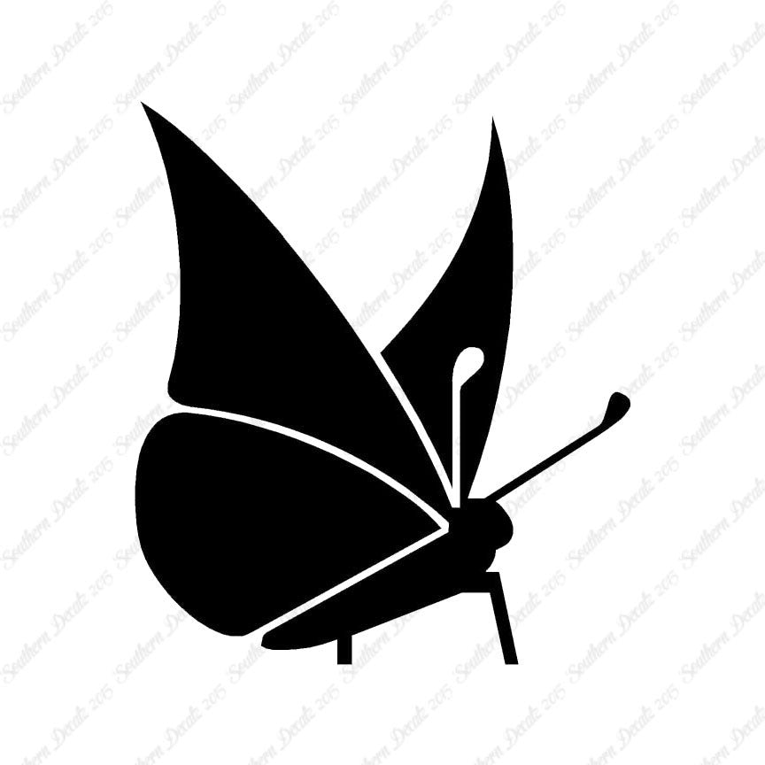 Moth Butterfly