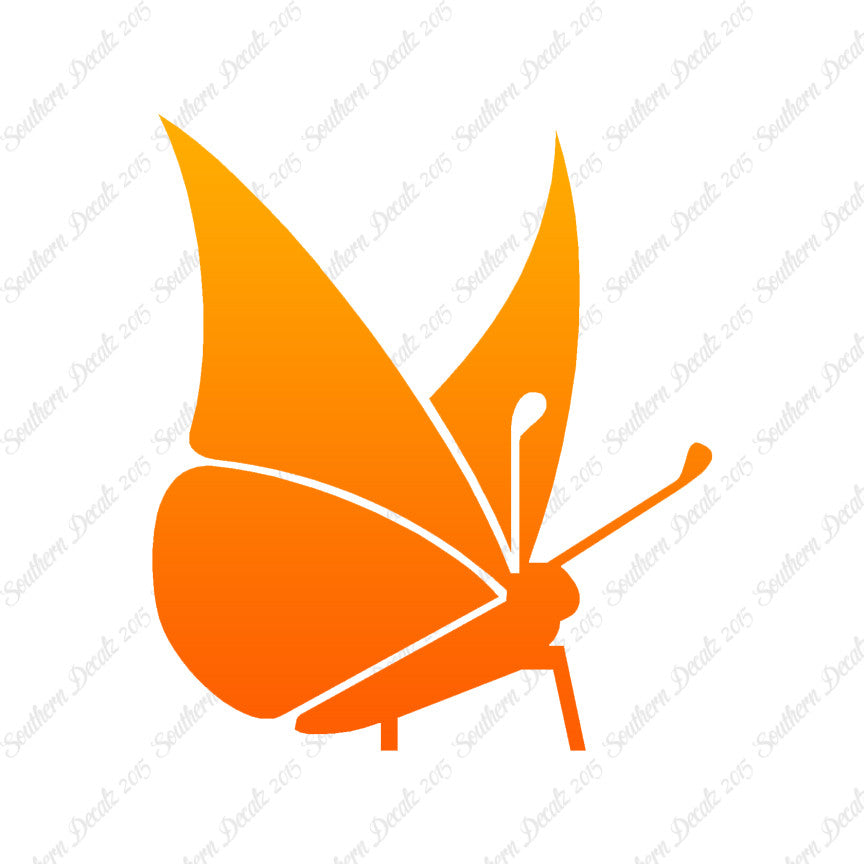 Moth Butterfly