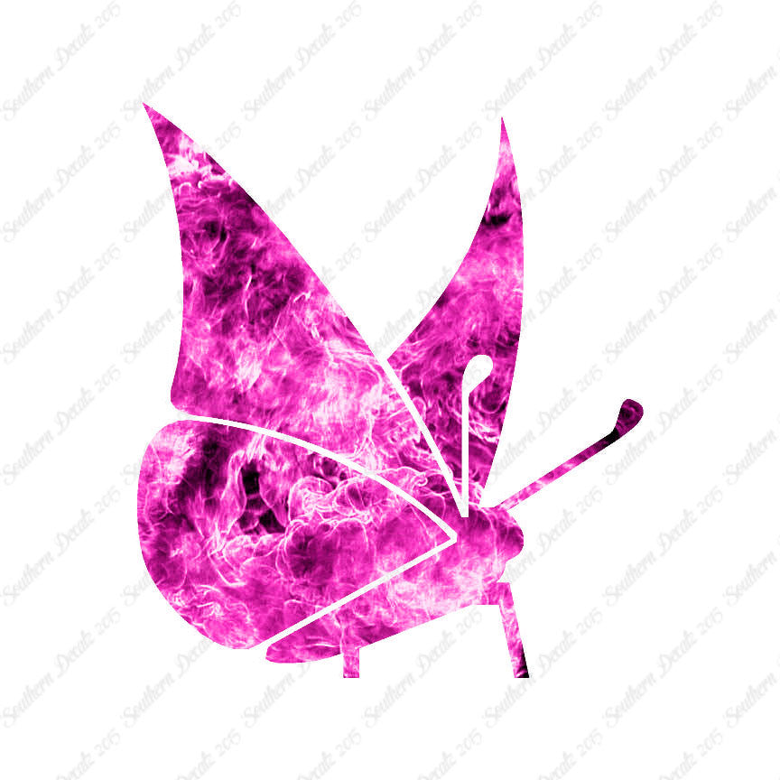 Moth Butterfly