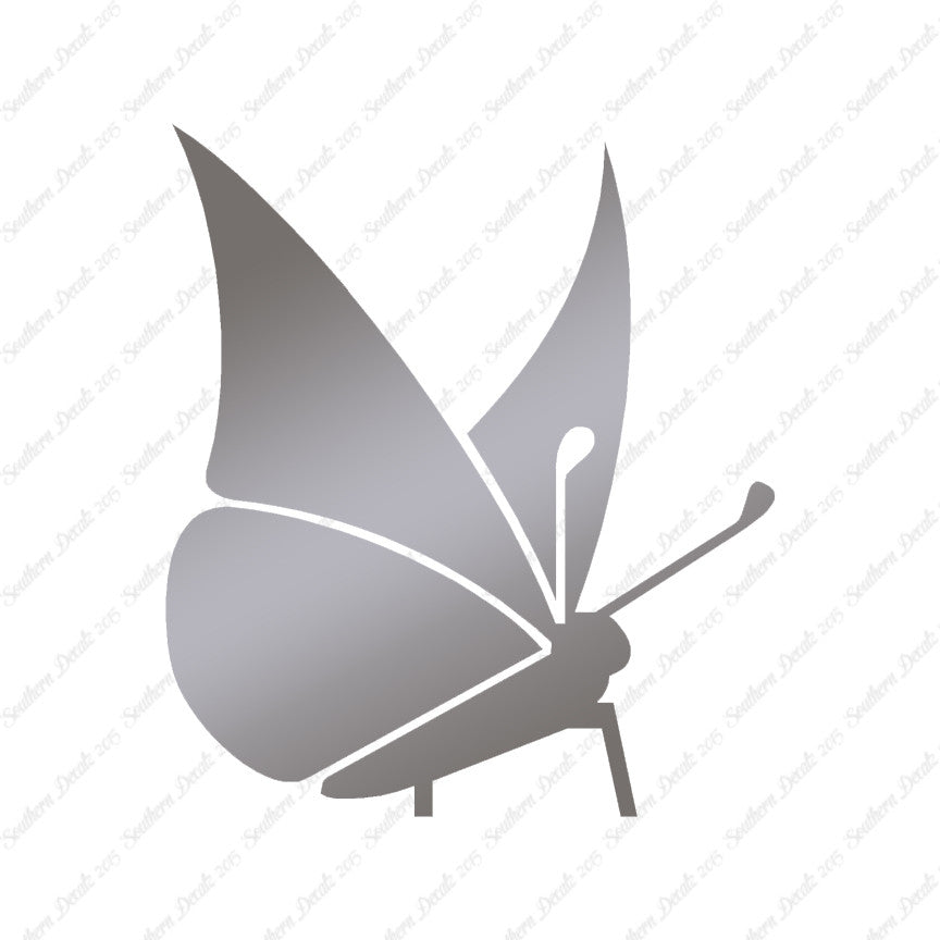 Moth Butterfly