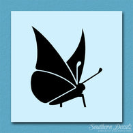Moth Butterfly