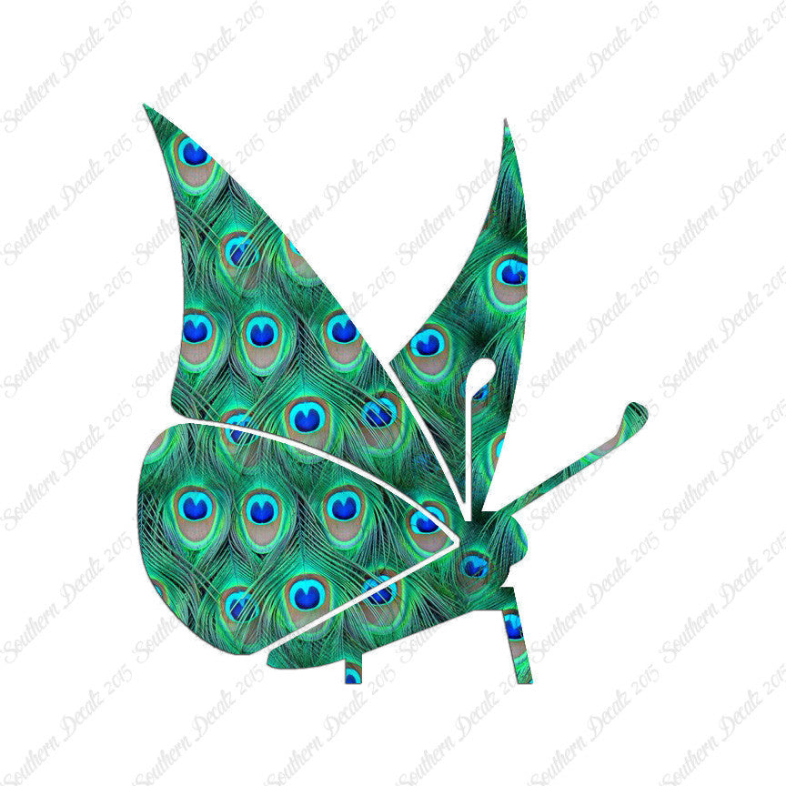 Moth Butterfly