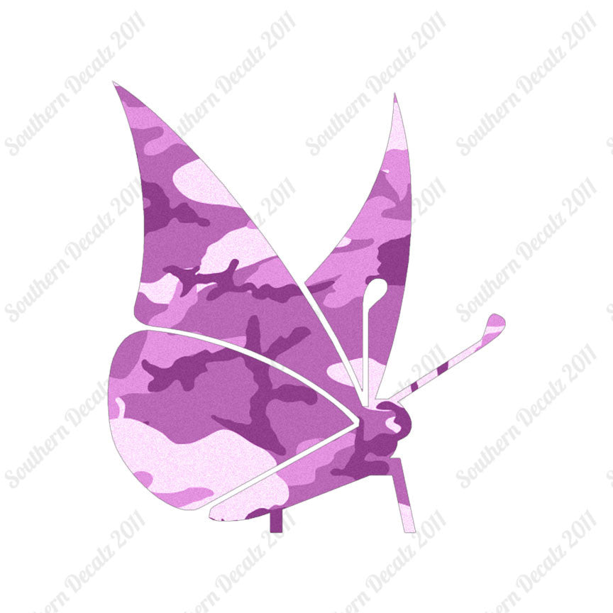 Moth Butterfly