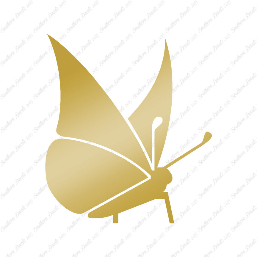 Moth Butterfly