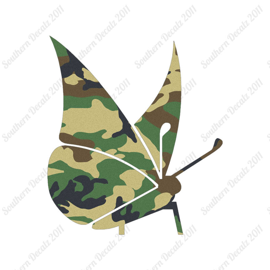 Moth Butterfly