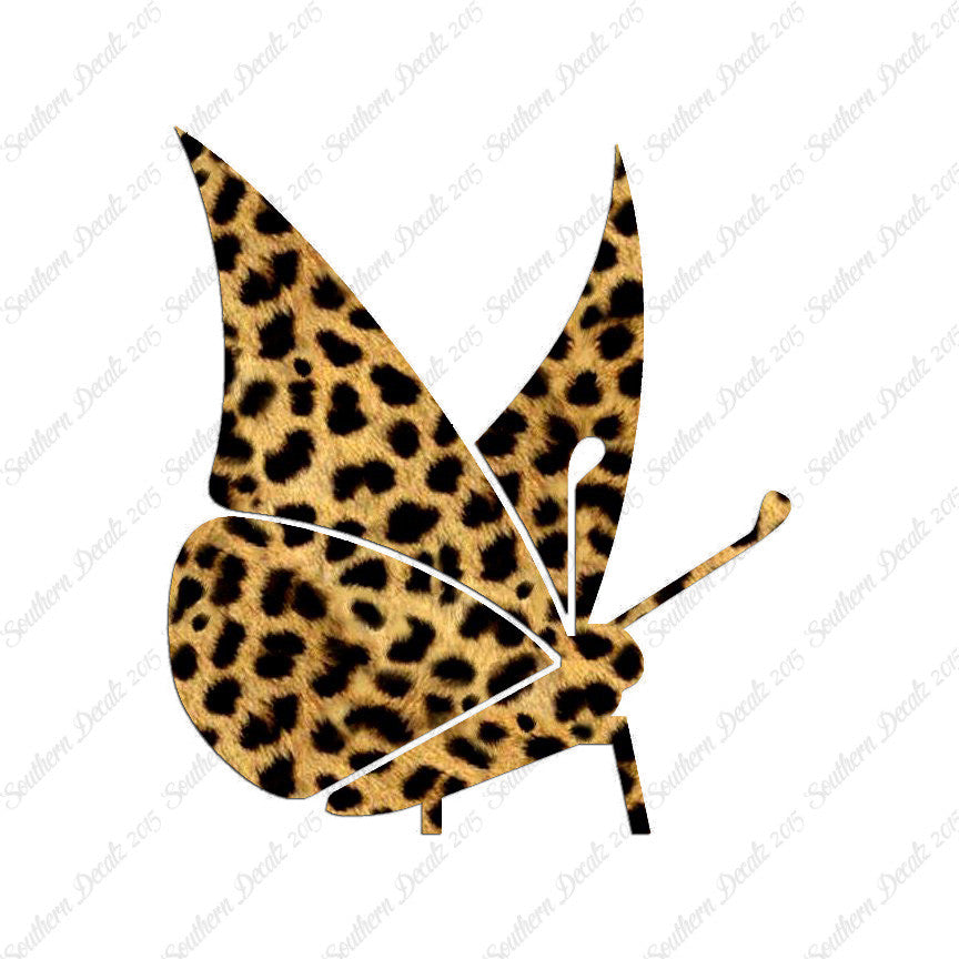 Moth Butterfly