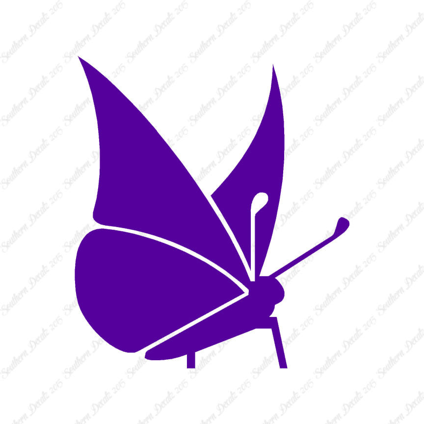 Moth Butterfly