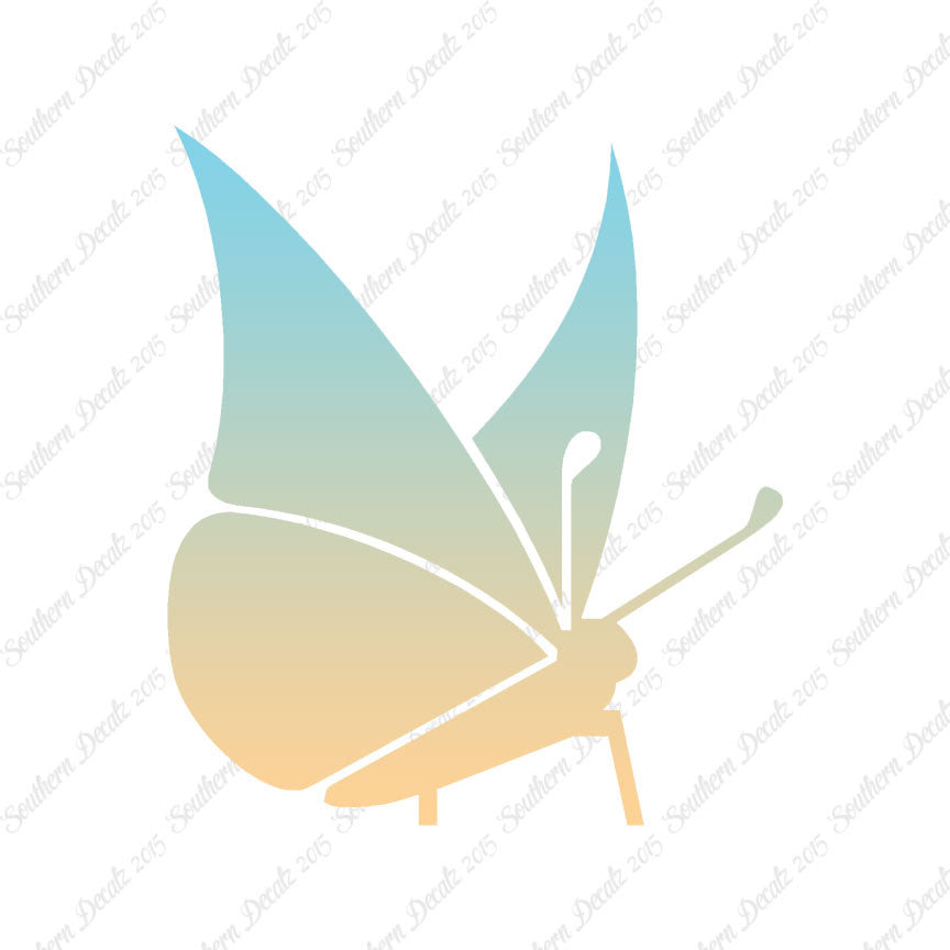 Moth Butterfly