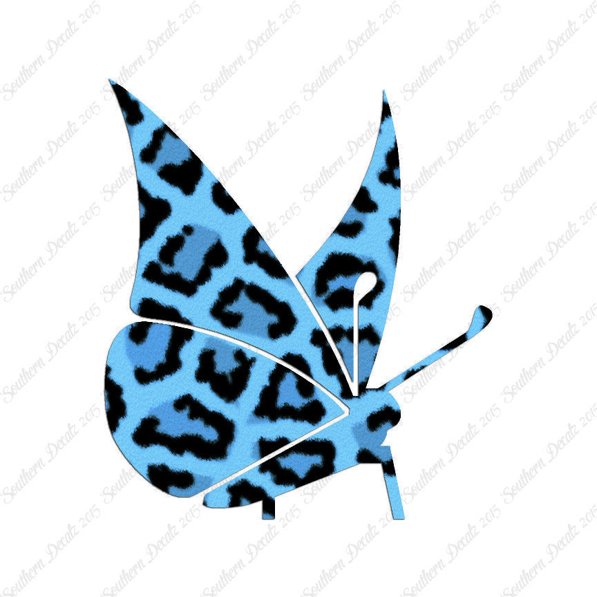 Moth Butterfly