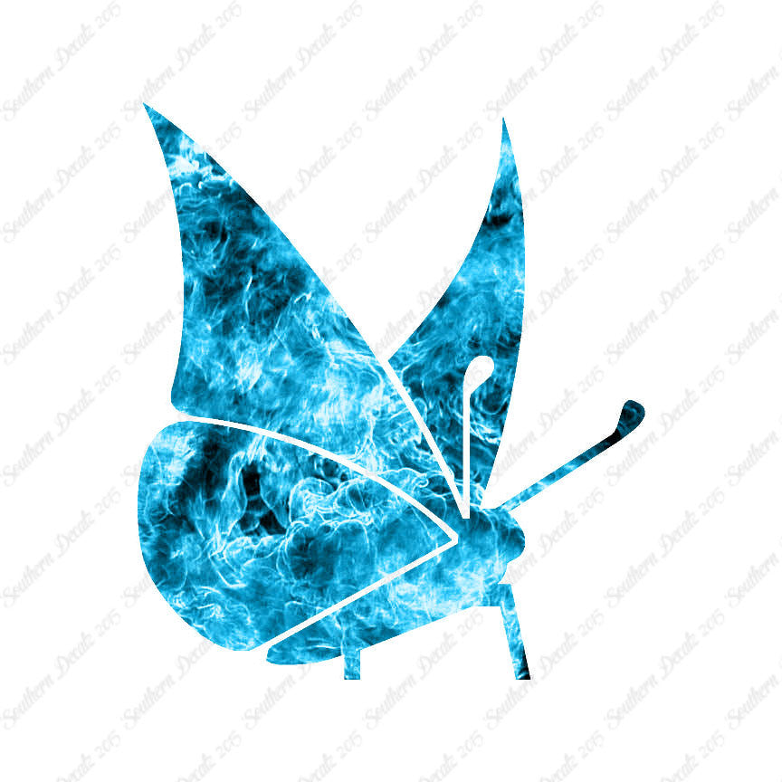 Moth Butterfly