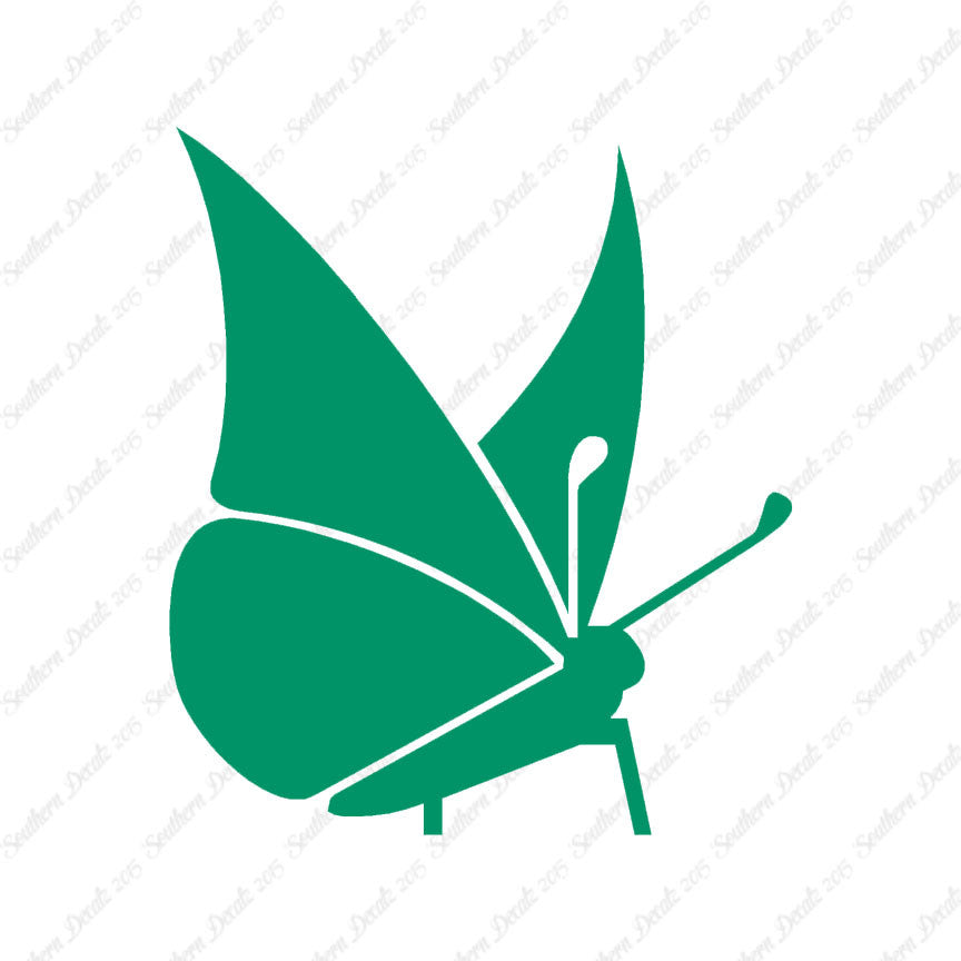 Moth Butterfly