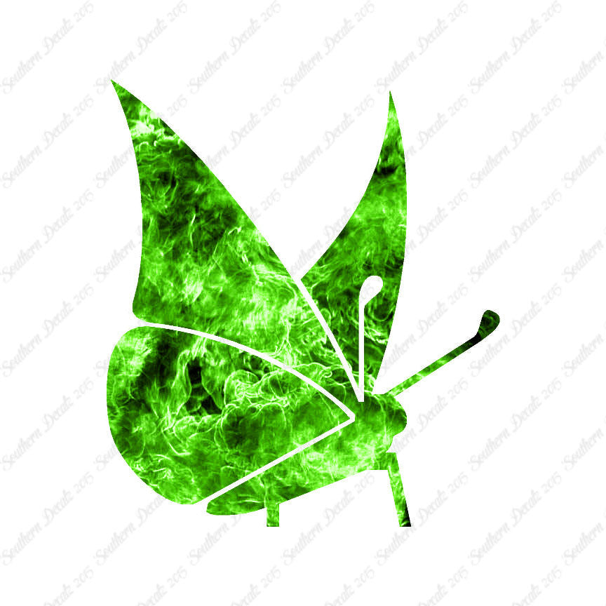 Moth Butterfly