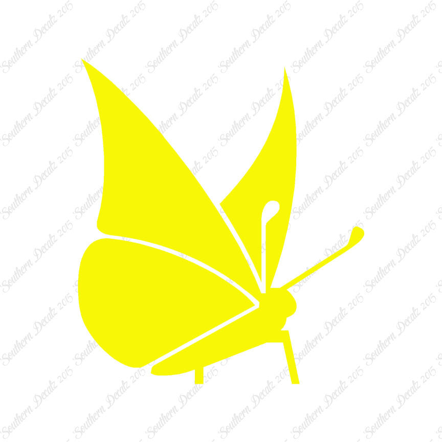 Moth Butterfly