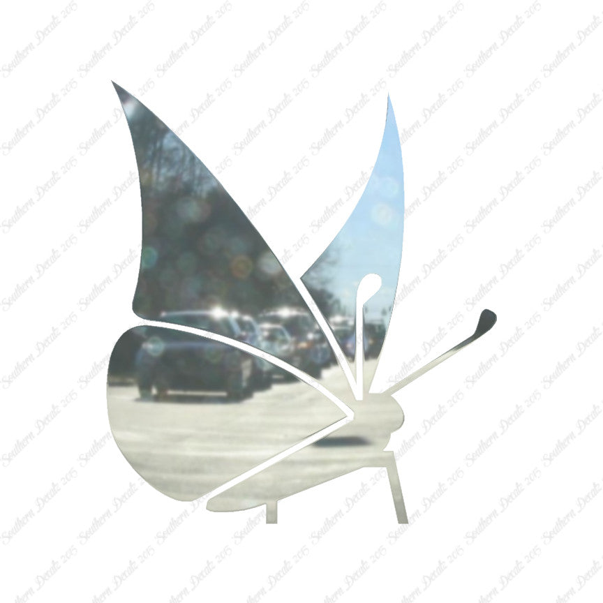 Moth Butterfly