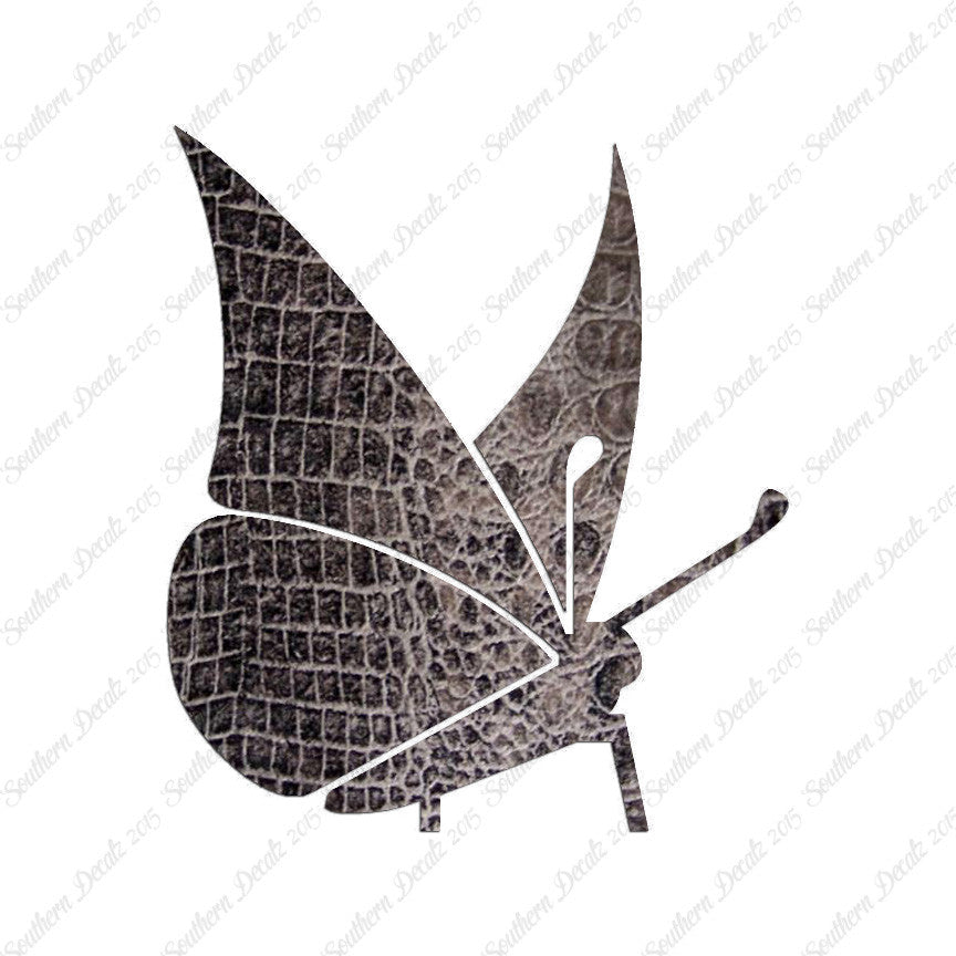 Moth Butterfly