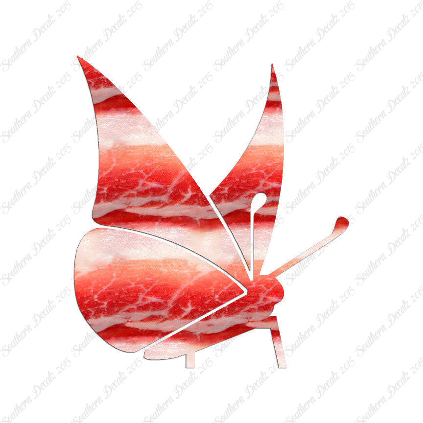 Moth Butterfly