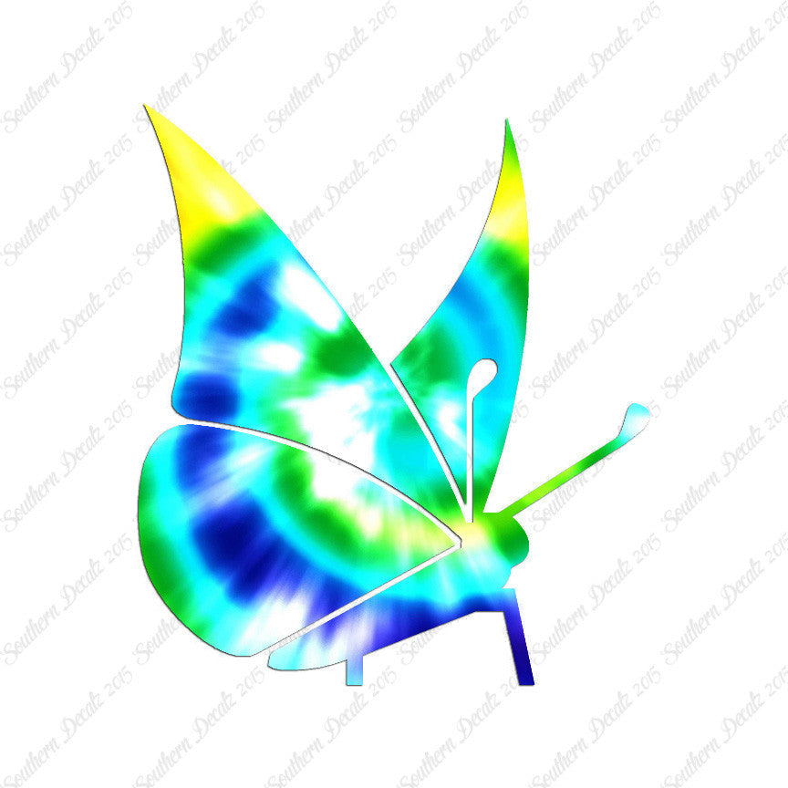 Moth Butterfly