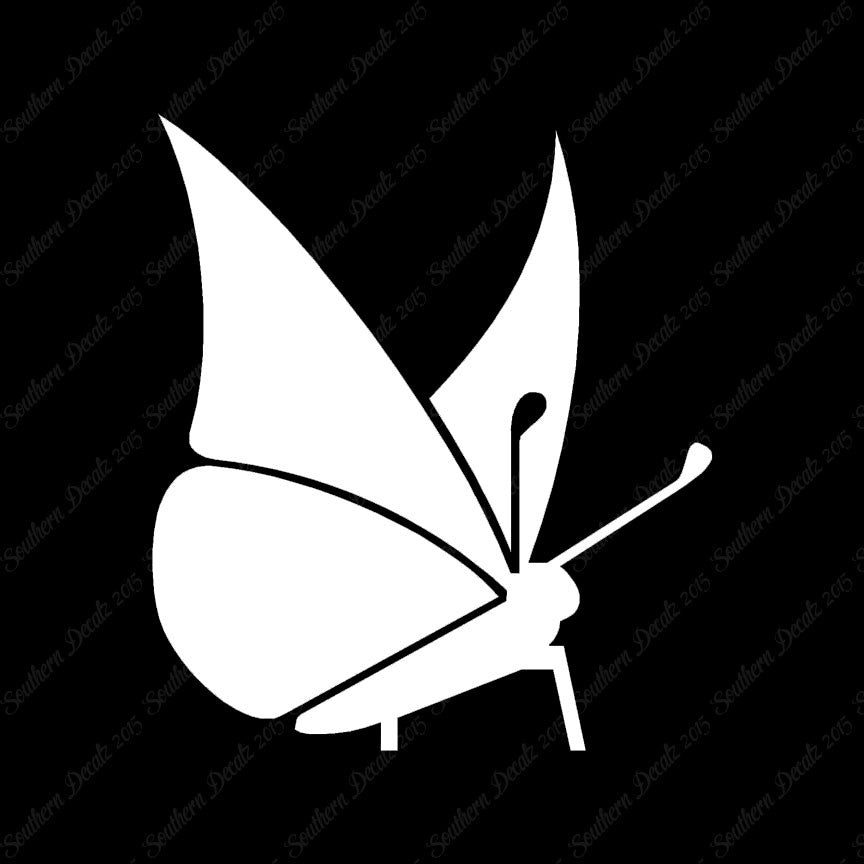 Moth Butterfly