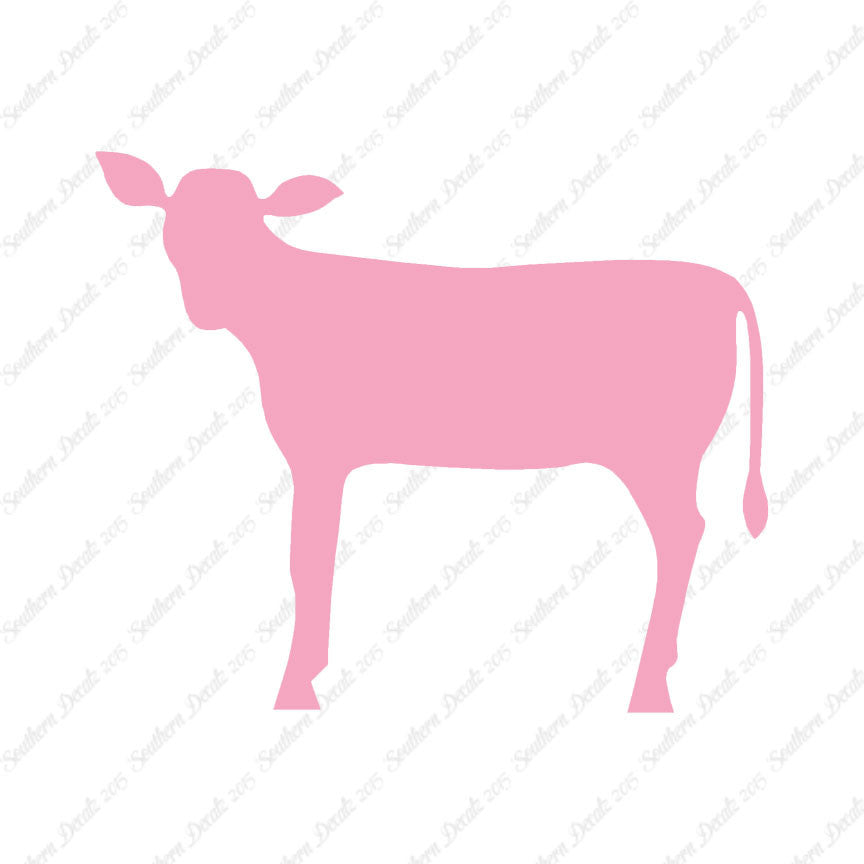Calf Cattle Cow Steer