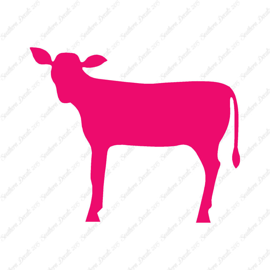 Calf Cattle Cow Steer