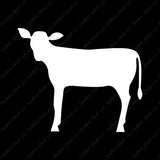 Calf Cattle Cow Steer
