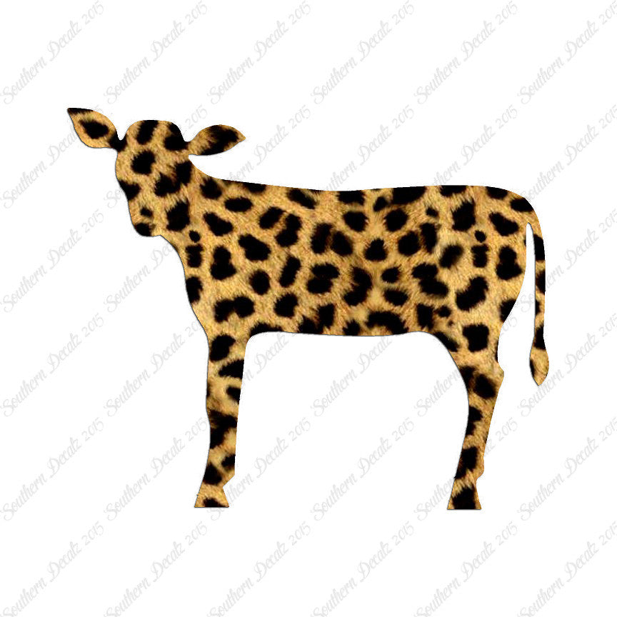 Calf Cattle Cow Steer