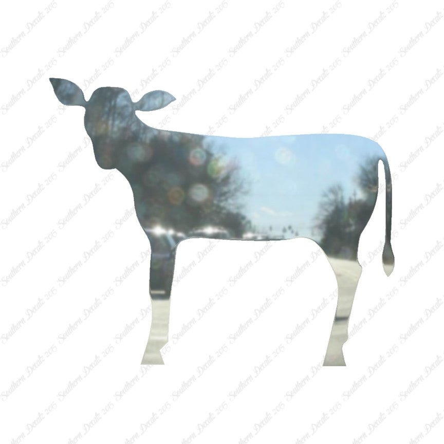 Calf Cattle Cow Steer