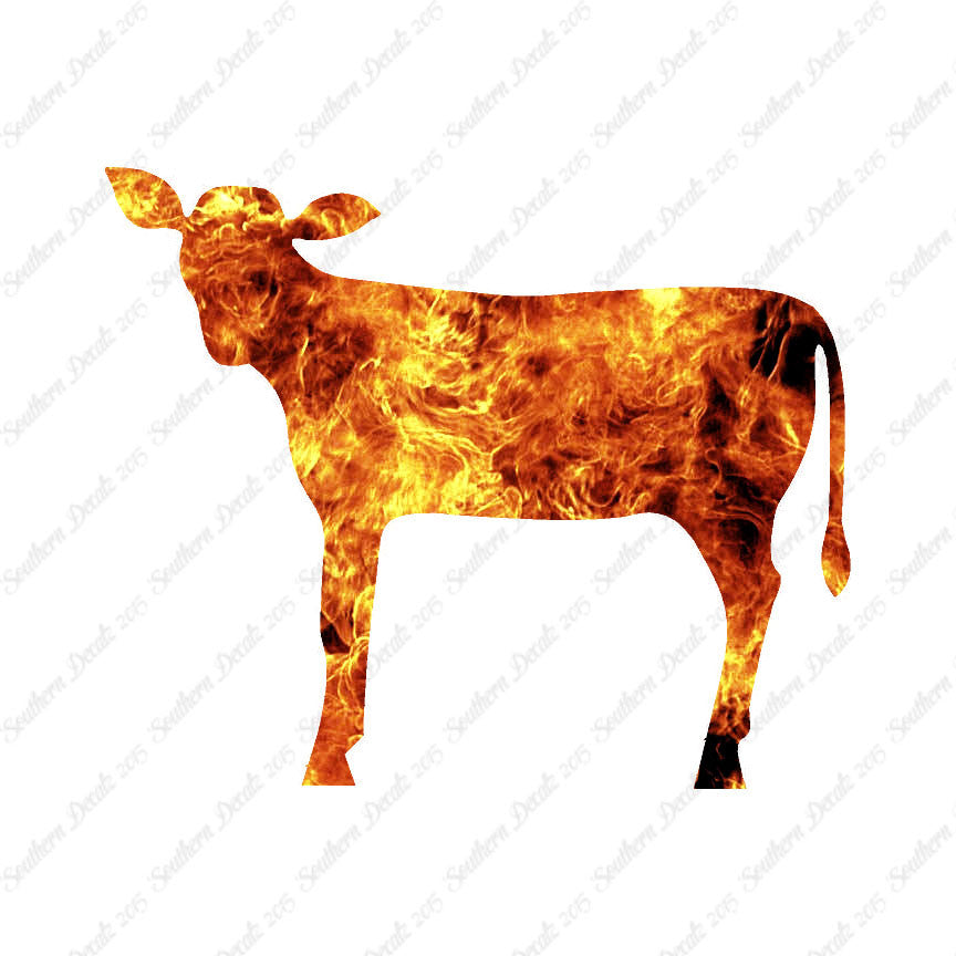 Calf Cattle Cow Steer