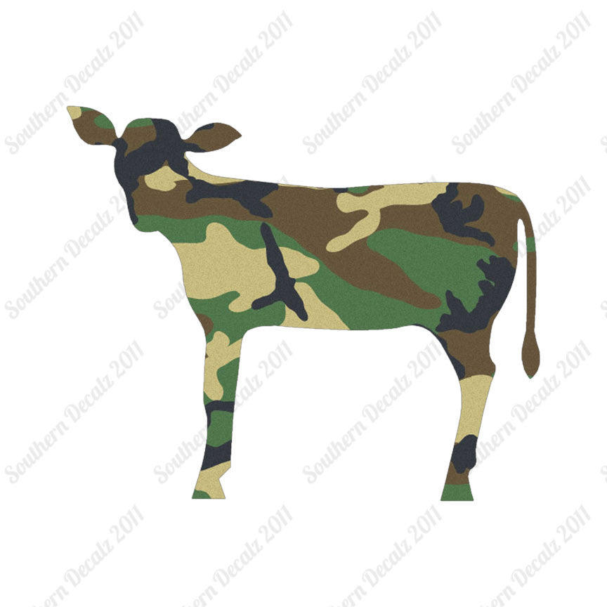 Calf Cattle Cow Steer
