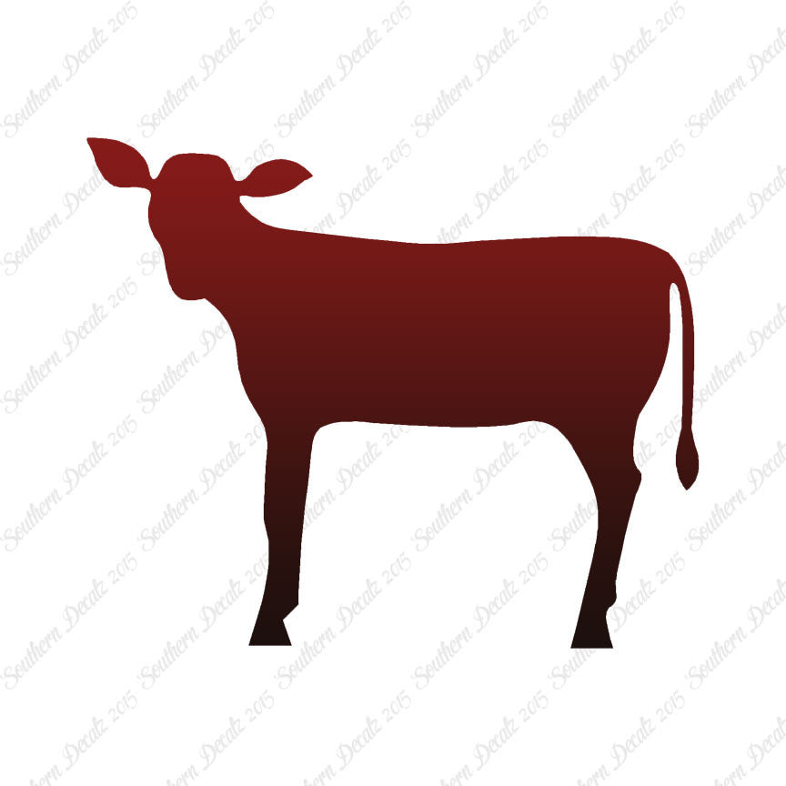 Calf Cattle Cow Steer