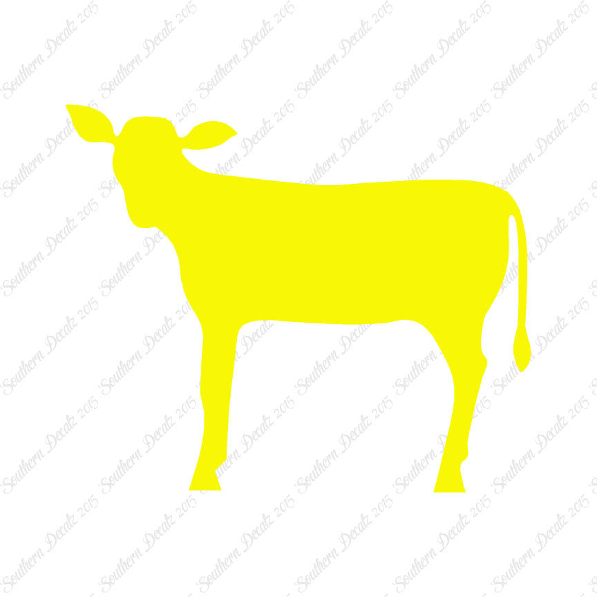 Calf Cattle Cow Steer