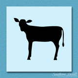 Calf Cattle Cow Steer