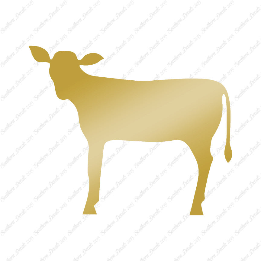 Calf Cattle Cow Steer