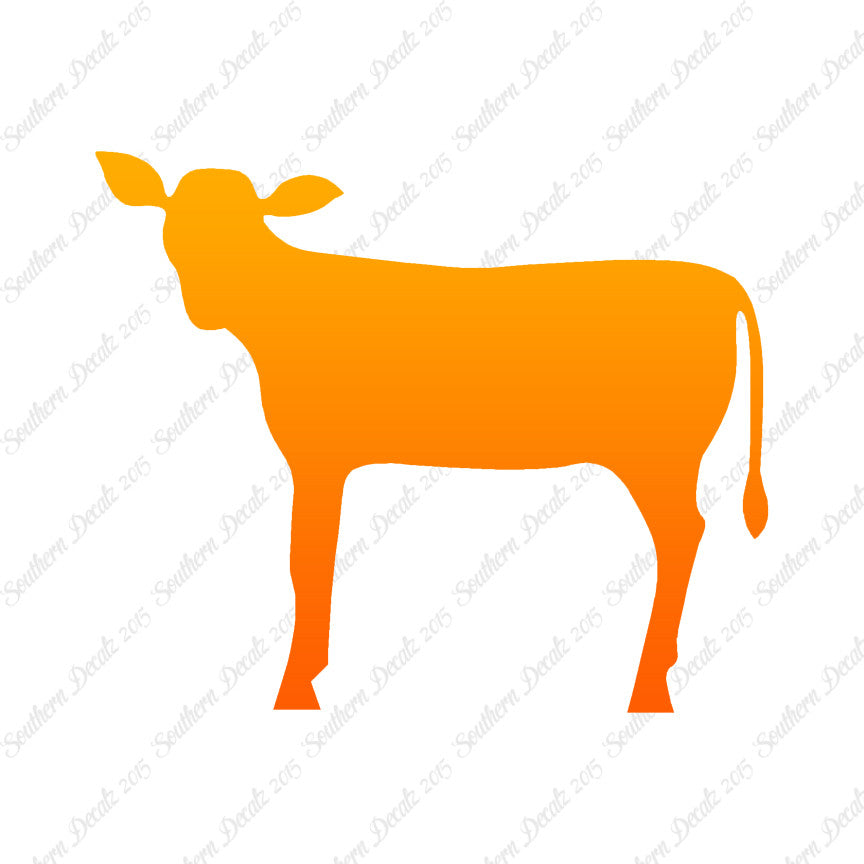 Calf Cattle Cow Steer