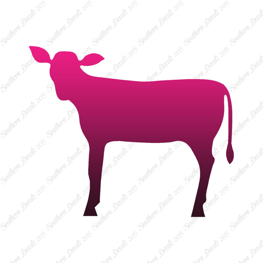 Calf Cattle Cow Steer