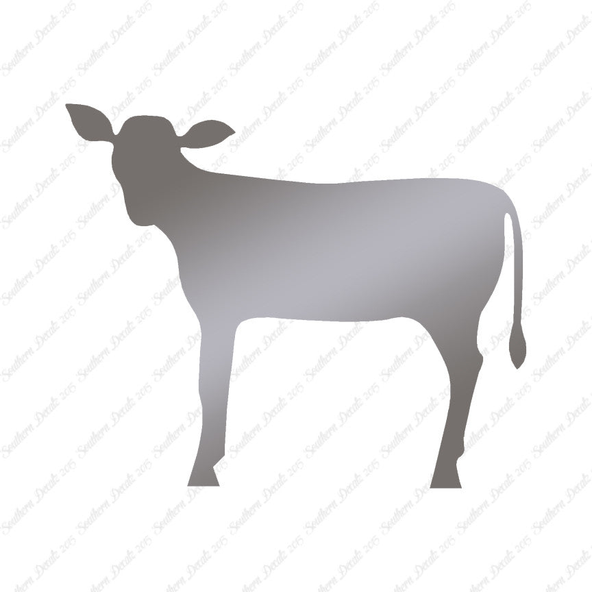 Calf Cattle Cow Steer