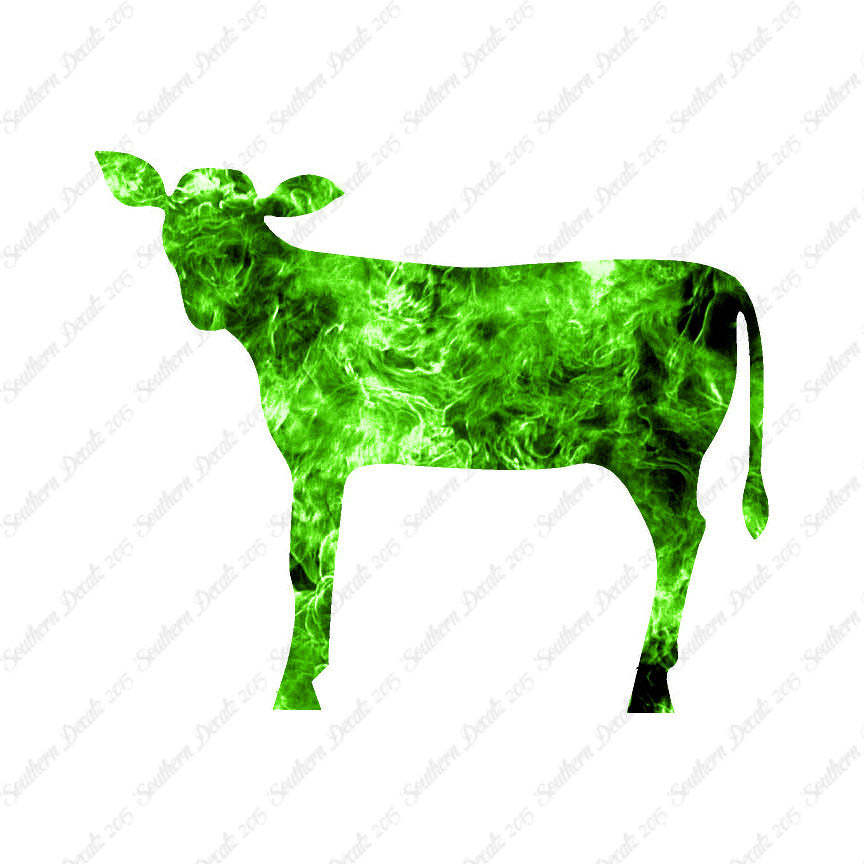 Calf Cattle Cow Steer