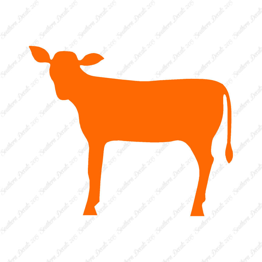 Calf Cattle Cow Steer