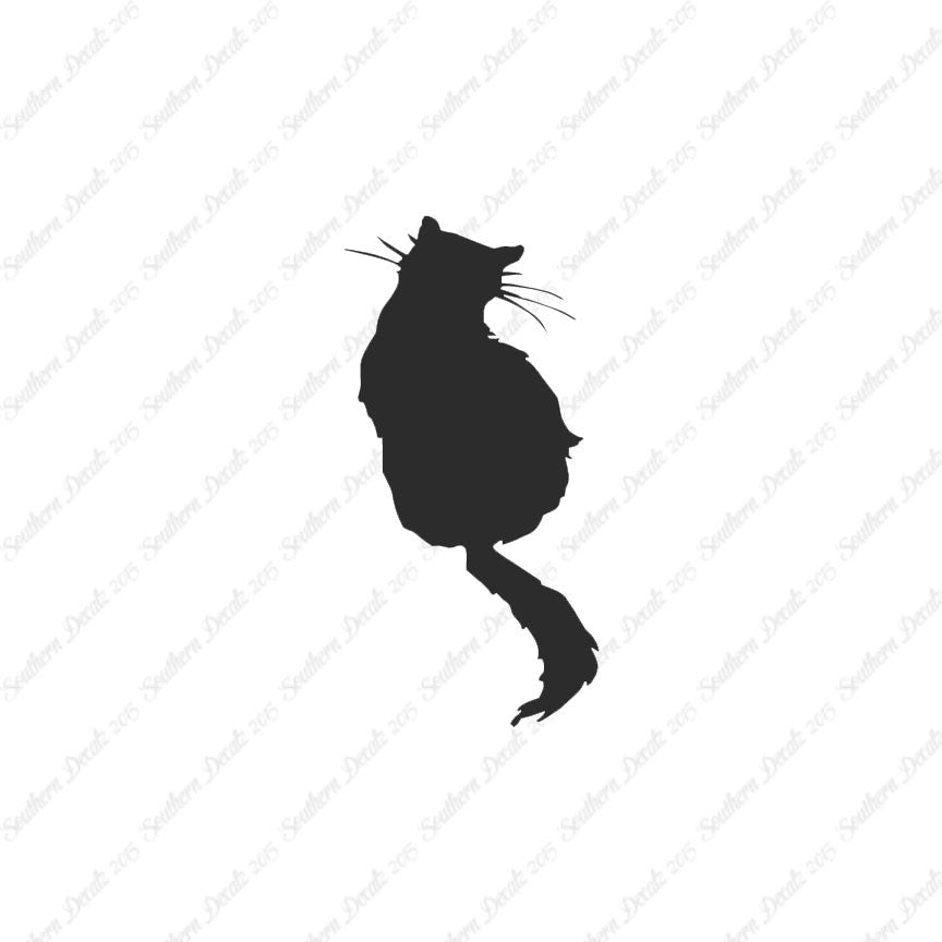 Fluffy Cat Kitten