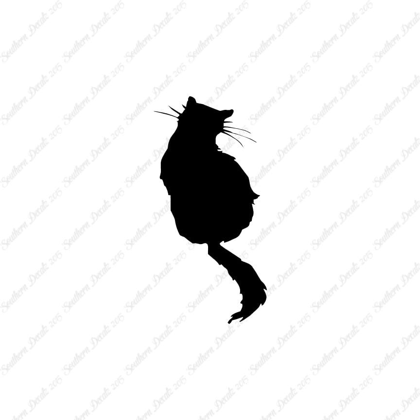 Fluffy Cat Kitten