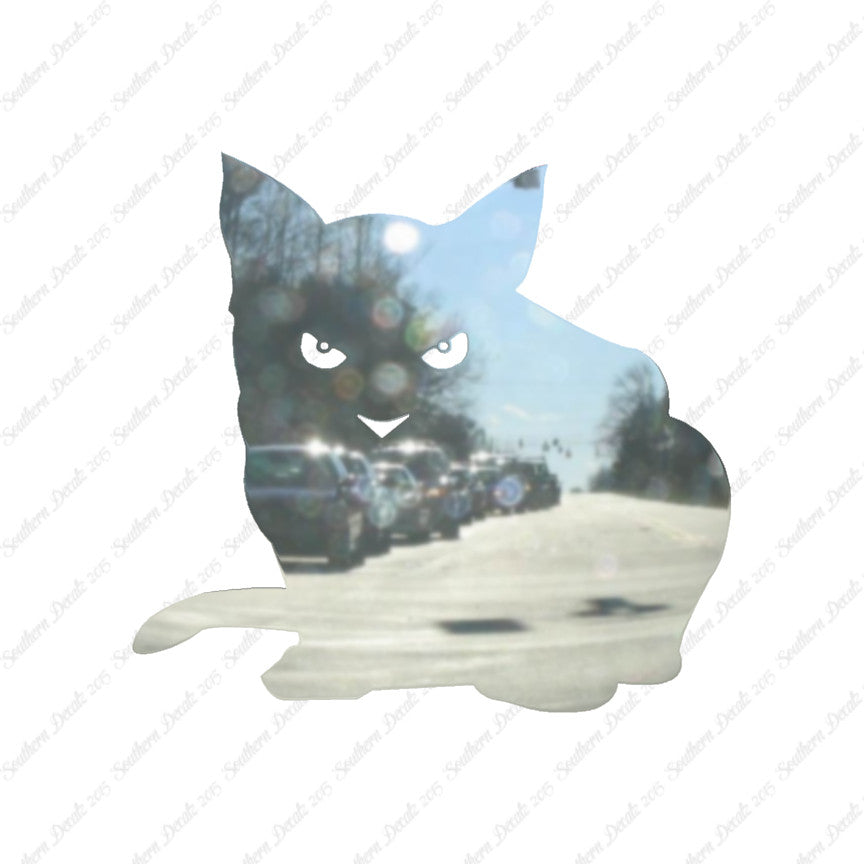 Cat Eyes Kitten